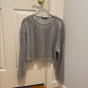 Zara Silver Sequin Crop Top